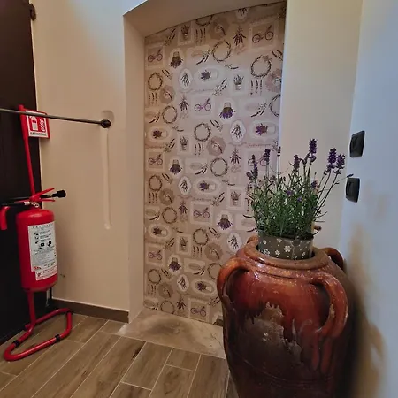 Dom wakacyjny La Casa Del Tempo