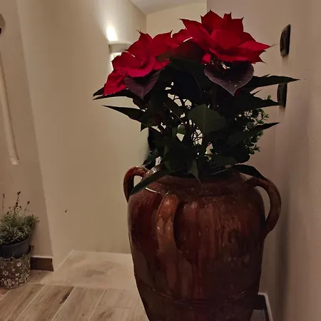 La Casa Del Tempo * Vittorito